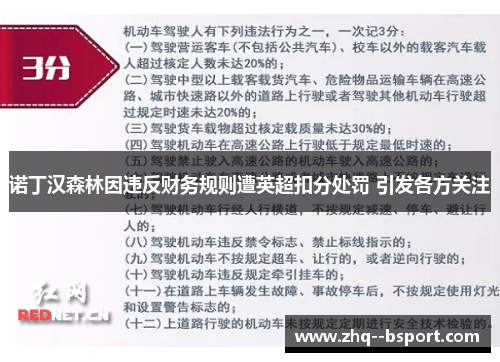 诺丁汉森林因违反财务规则遭英超扣分处罚 引发各方关注